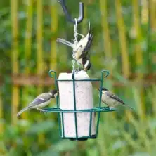 Metal Peanut Cake Tube Feeder