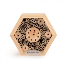 National Trust Hexagon Insect House