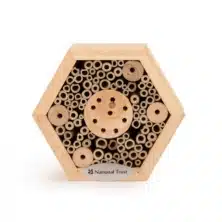 National Trust Hexagon Insect House