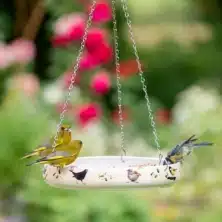 Myrte Garden Birds Feeding Bowl