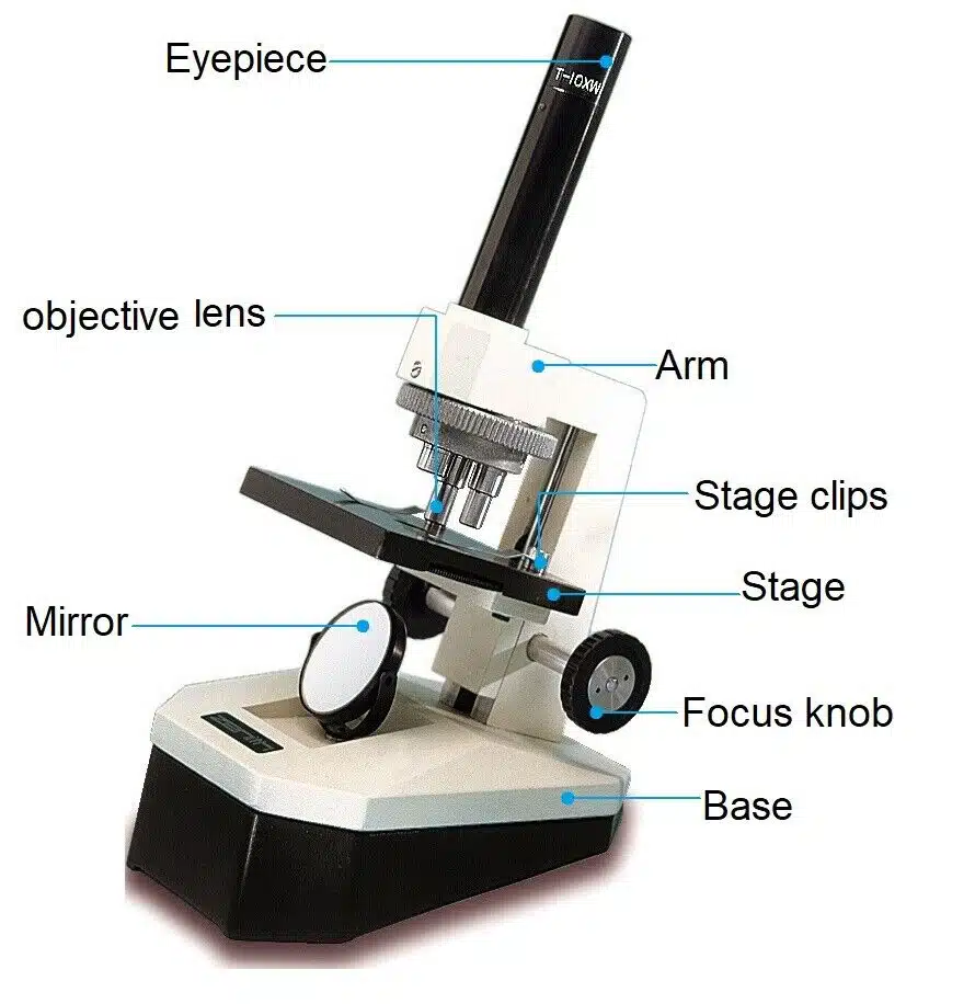 s-l1600