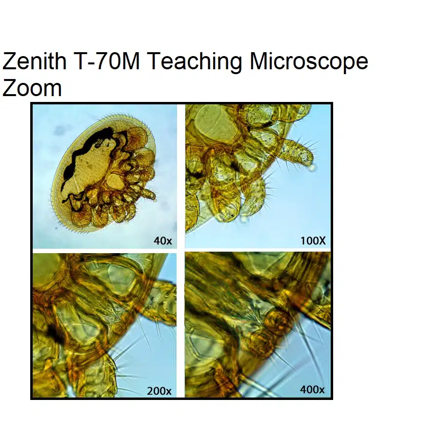 Zenith-T-70M-Teaching-Microscope-2