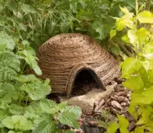 Wildlife World Dome Hedgehog House