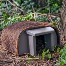 Wildlife World Timeless Hedgehog Haus