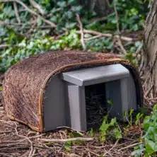 Wildlife World Timeless Hedgehog Haus
