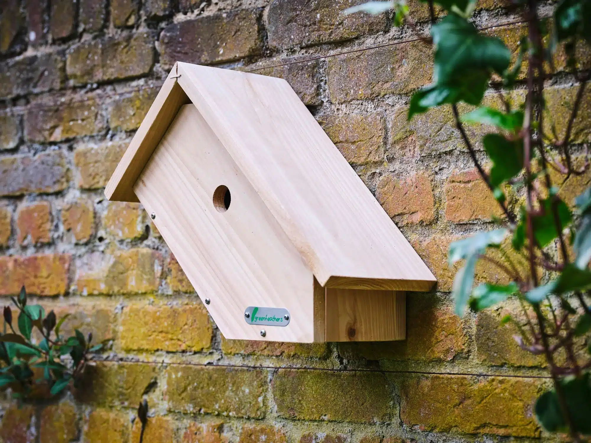 BirdBox_SideView_02