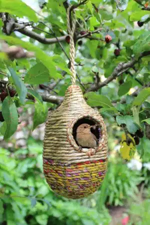 Shesali - Artisan Bird Nester