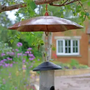Squirrel Baffle - Bird Feeder Defender
