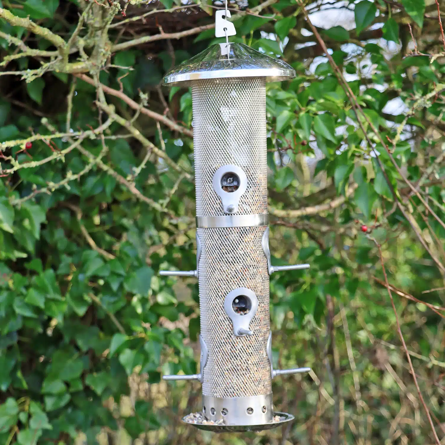 SSBFL-NEW PICS_WEBBED IMAGE 1-100