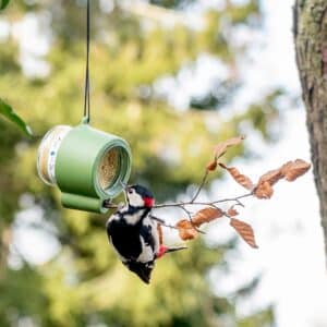 CJ Wildlife Rio Peanut Butter Feeder
