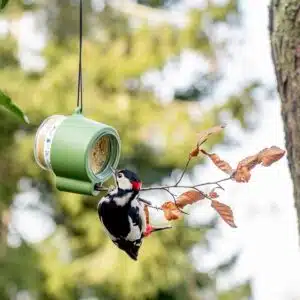 CJ Wildlife Rio Peanut Butter Feeder