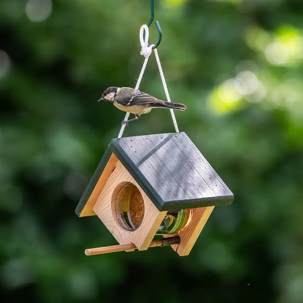 351900119-cork_hanging_peanut_butter_feeder-sw-sem-low-res-0624