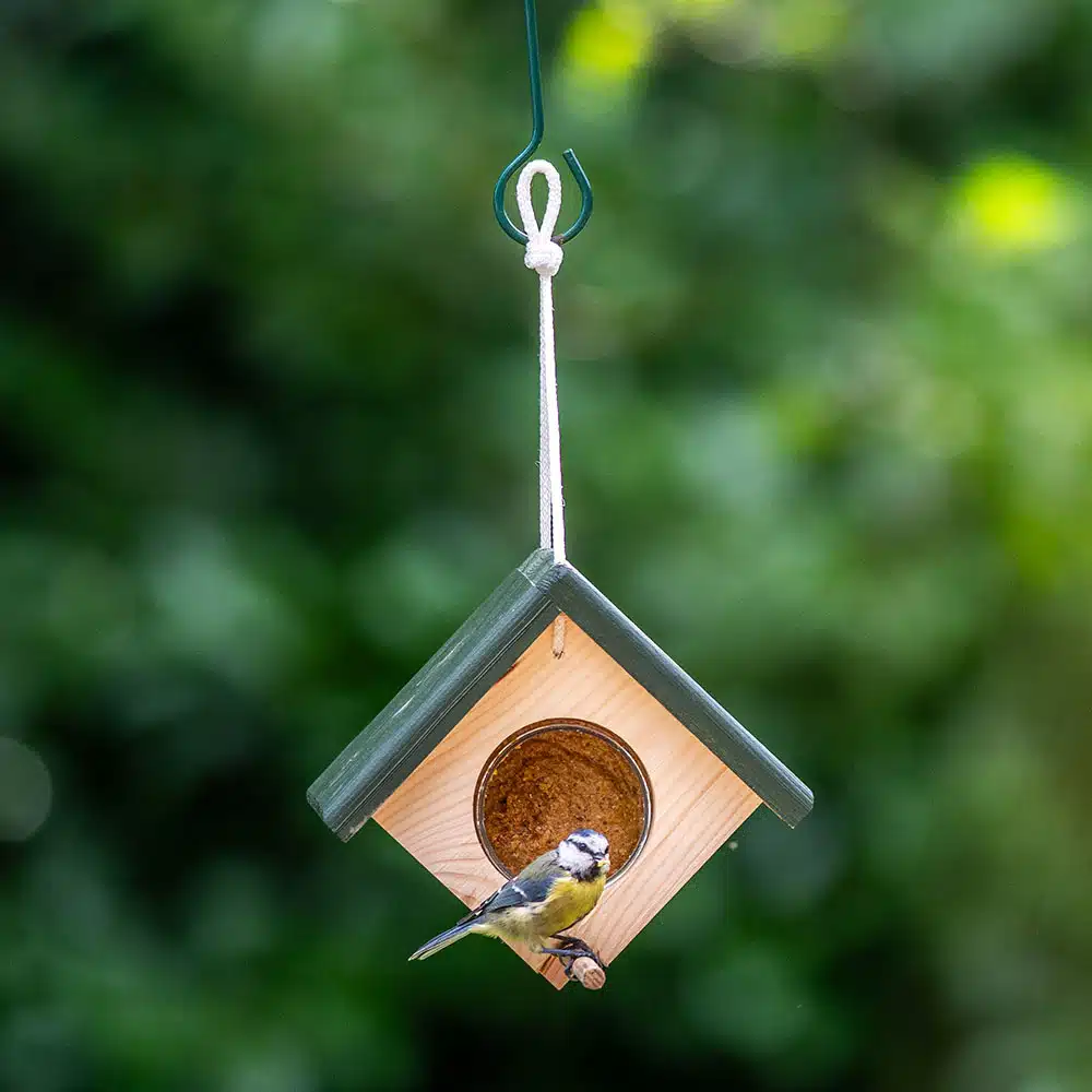 351900119-cork_hanging_peanut_butter_feeder-sw-sem-low-res-0639