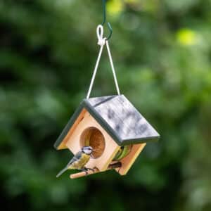 Cork Peanut Butter Feeder Hanging